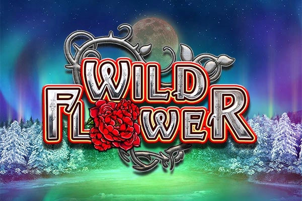 02613 wild flower