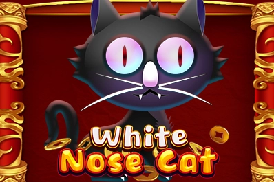 12235 white nose cat