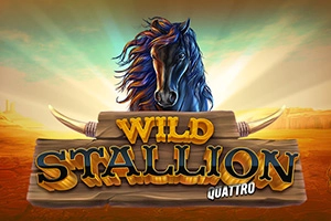 23296 wild stallion quattro