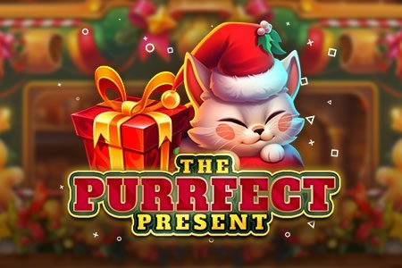 24770 the purrfect present